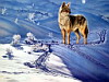 miniatura_csg_SouthwestArt_159_TheCoyote,God'sDog-PaulKrapf copia